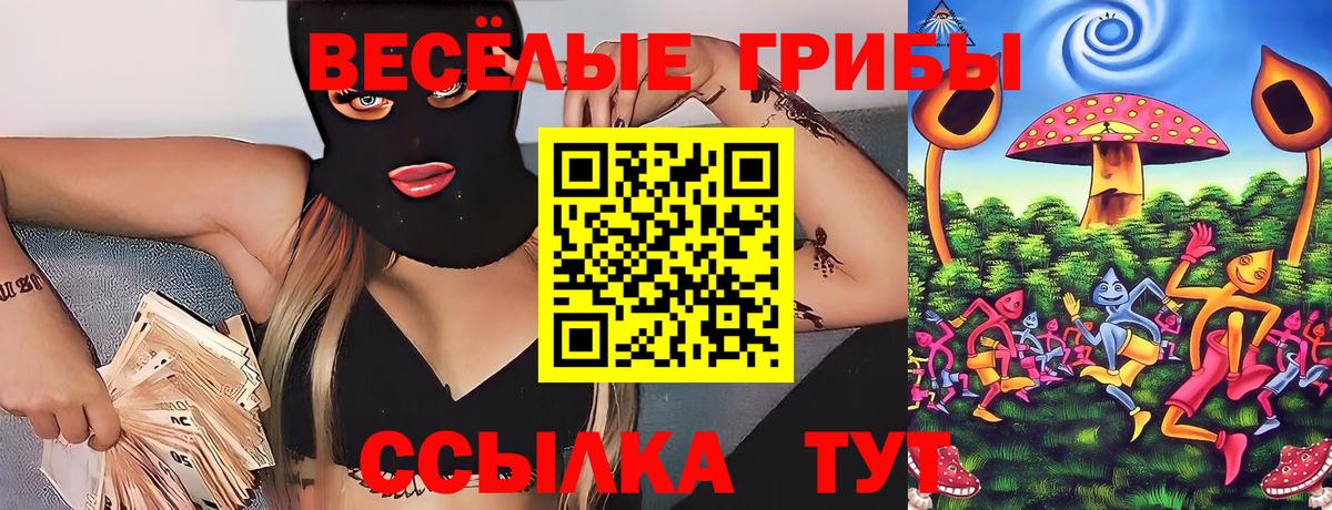 купить наркотики сайты  Вход с VPN  Псилоцибиновые грибы прущие грибы  Невинномысск  Галлюциногенные грибы мухоморы 