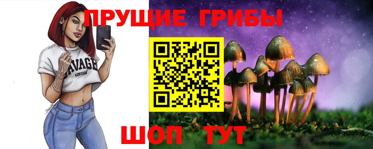 Галлюциногенные грибы Cubensis Невинномысск